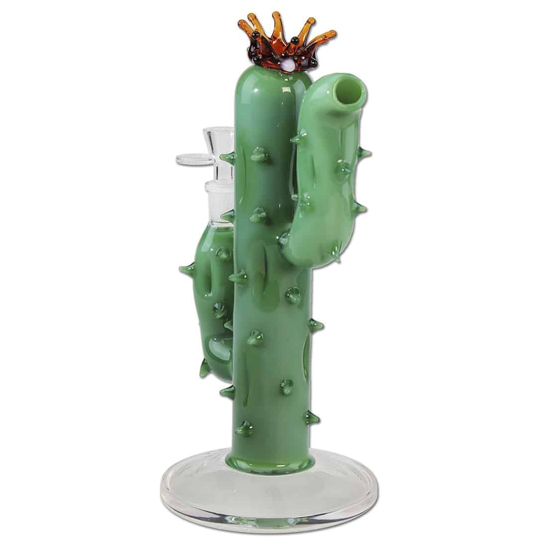 En sort kaktus med blade i en kroneform pryder en rund potte. Kaktusens overflade er dækket af små, fine pigge, der strækker sig fra den grønne stamme. Potten er hvid og simpel i designet, hvilket fremhæver kaktusens mørke farve. Den samlede komposition skaber en kontrast mellem det sorte og hvide, samt naturens grønne nuancer.