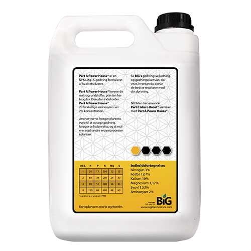 En stor, grøn plante med brede, flade blade pryder midten af kompositionen. Bladene har en dyb, mørkegrøn farve med en let glans, hvilket giver en frisk og livlig fornemmelse. I baggrunden ses en lys, neutral overflade, der fremhæver plantens farver. Planten står i en simpel, hvid potte med en glat tekstur, der kontrasterer med bladene.