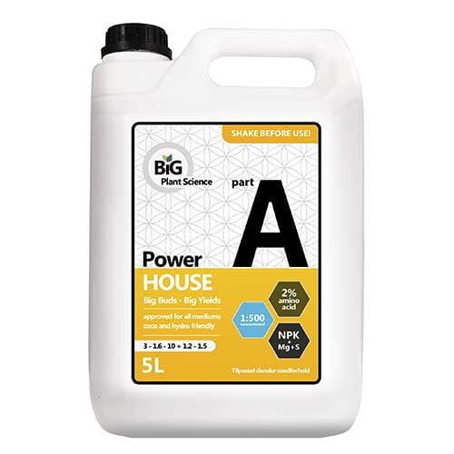 En stor, grøn plante i en hvid, minimalistisk potte med en glat overflade. Potten har en rund form med en let konisk silhuet og en bredere bund. Planten har store, ovale blade med en dyb grøn farve og en glansfuld tekstur. Baggrunden er lys, hvilket fremhæver plantens farver og former.