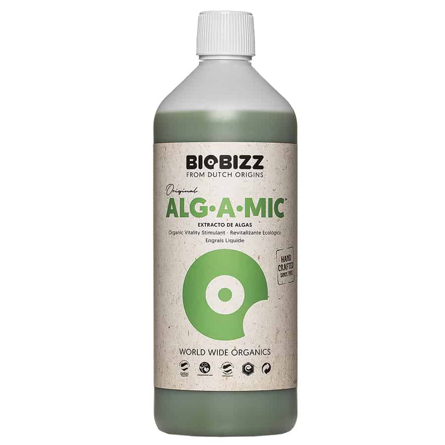 En flaske med en slank, oval form, lavet af gennemsigtigt plast. Flasken indeholder en væske, der har en dyb grøn farve. Et etiket pryder flaskens front, domineret af grønlige nuancer og planteinspirerede mønstre. På etiketten ses tekst i sort og hvid, samt et logo i øverste del. Låget er skruefarvet i mørkeblå.