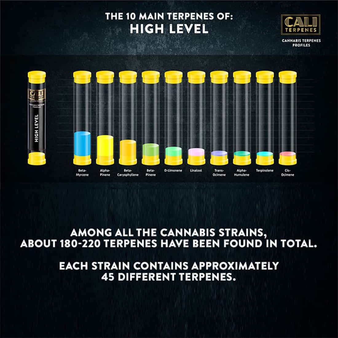 En lille, transparent flaske med en mørk, tæt væske indeni. Flasken har en sort skruelåg med en pipette, der strækker sig ned i væsken. Etiket med tydelig tekst i sort og guld, der angiver produktinformation. Baggrunden er lys, hvilket fremhæver flaskens konturer og væskens glans. Flaskens form er slank og elegant.