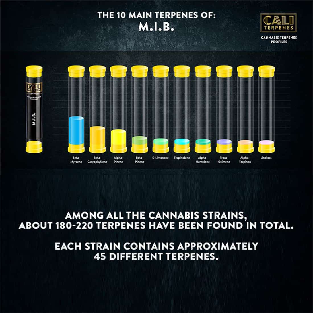 En lille klar flaske med en sort skruelåg indeholder en gylden væske. Flaskens labels er trykt med sort tekst på en hvid baggrund, der beskriver produktet. Et symbol i form af en dråbe er placeret øverst, og der er en tydelig angivelse af mængden. Flaskens form er slank og cylindrisk, hvilket giver den et elegant udseende.
