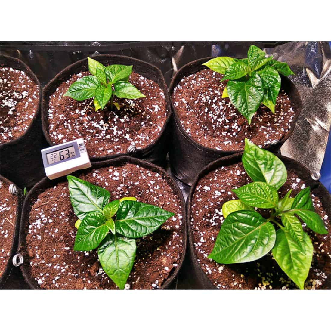 En rund, grøn stofpotte pryder en neutral overflade, fremstillet af et blødt, vævet materiale med en let struktur. Potten har en enkel, minimalistisk form uden synlige sømme og en smal kant øverst. Den indvendige del er i en lysere grøn nuance, hvilket skaber kontrast til den ydre overflade. Potten står stabilt og har en naturlig, uformel æstetik.