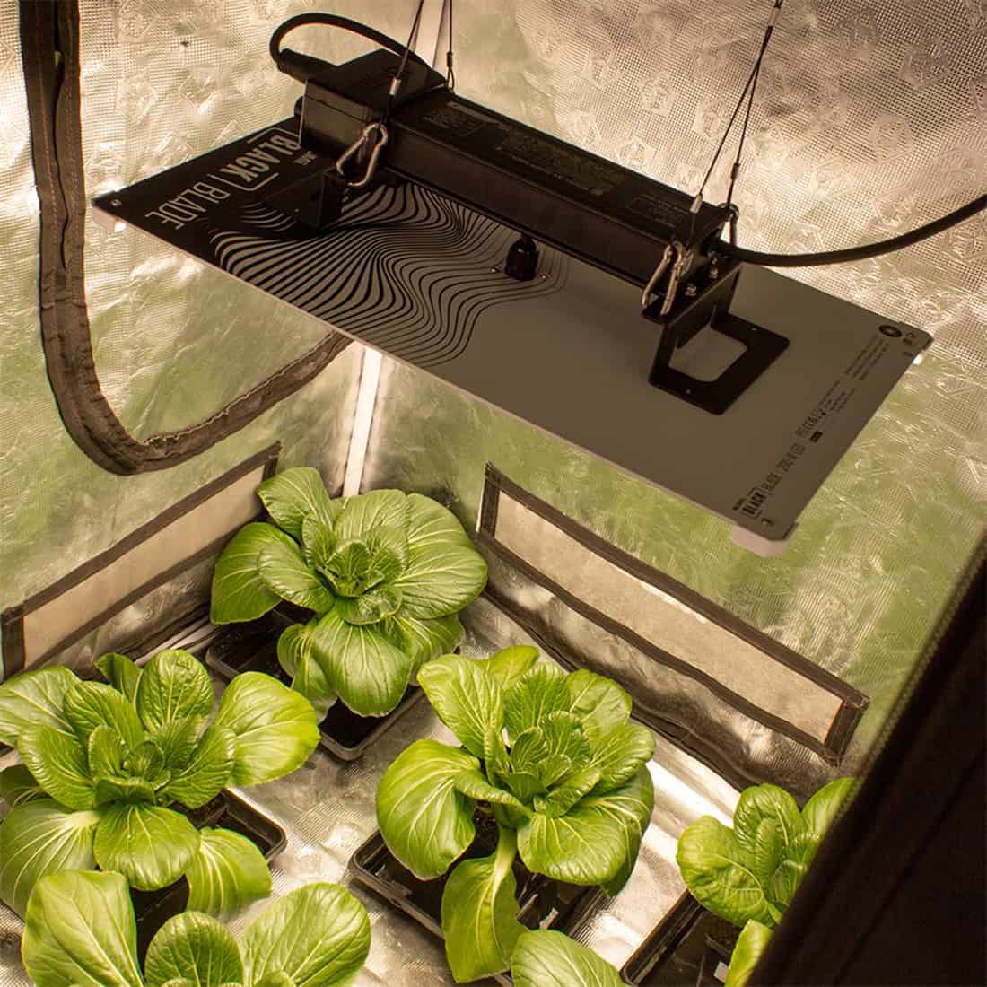 En sort LED-lampe med en slank, moderne design præsenterer sig med en rektangulær form og glatte linjer. Lampens overflade er mat og fremhæver den ensartede sorte farve. Der er synlige køleribber på siden, der tilføjer tekstur. I toppen er der et klart lysdæksel, der spreder lyset jævnt. Lampen står på et robust stativ med en bred base.