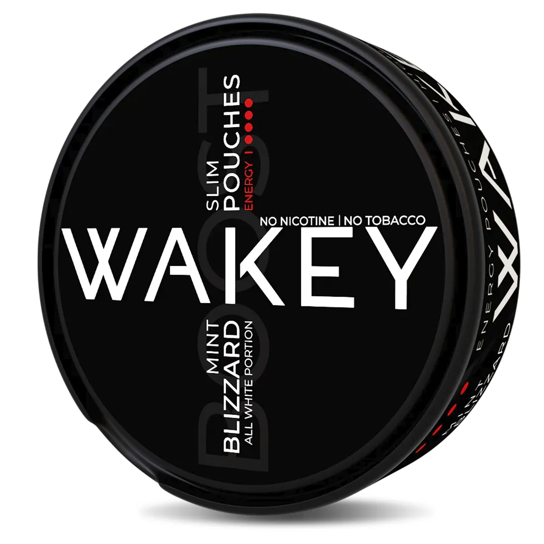 En mintgrøn vandflaske i en slank, cylindrisk form, fremstillet af rustfrit stål. Flasken har en mat overflade og en skridsikker tekstur i bunden. Låget er skruet på og prydet med en lille, praktisk bærehank. Flaskens overflade er uden synlige mærker, hvilket giver et rent og minimalistisk udtryk.