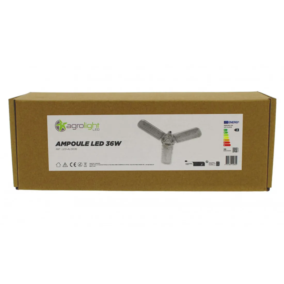 En LED-pære med en rund, klar glasoverflade, der afslører en indre struktur med flere små dioder. Pæren har en hvid, varm lysfarve og en sokkel af metal med en sølvfarvet finish. Diameteren er relativt stor, og den fremstår glat og moderne. Ingen synlige knapper eller ekstra elementer.