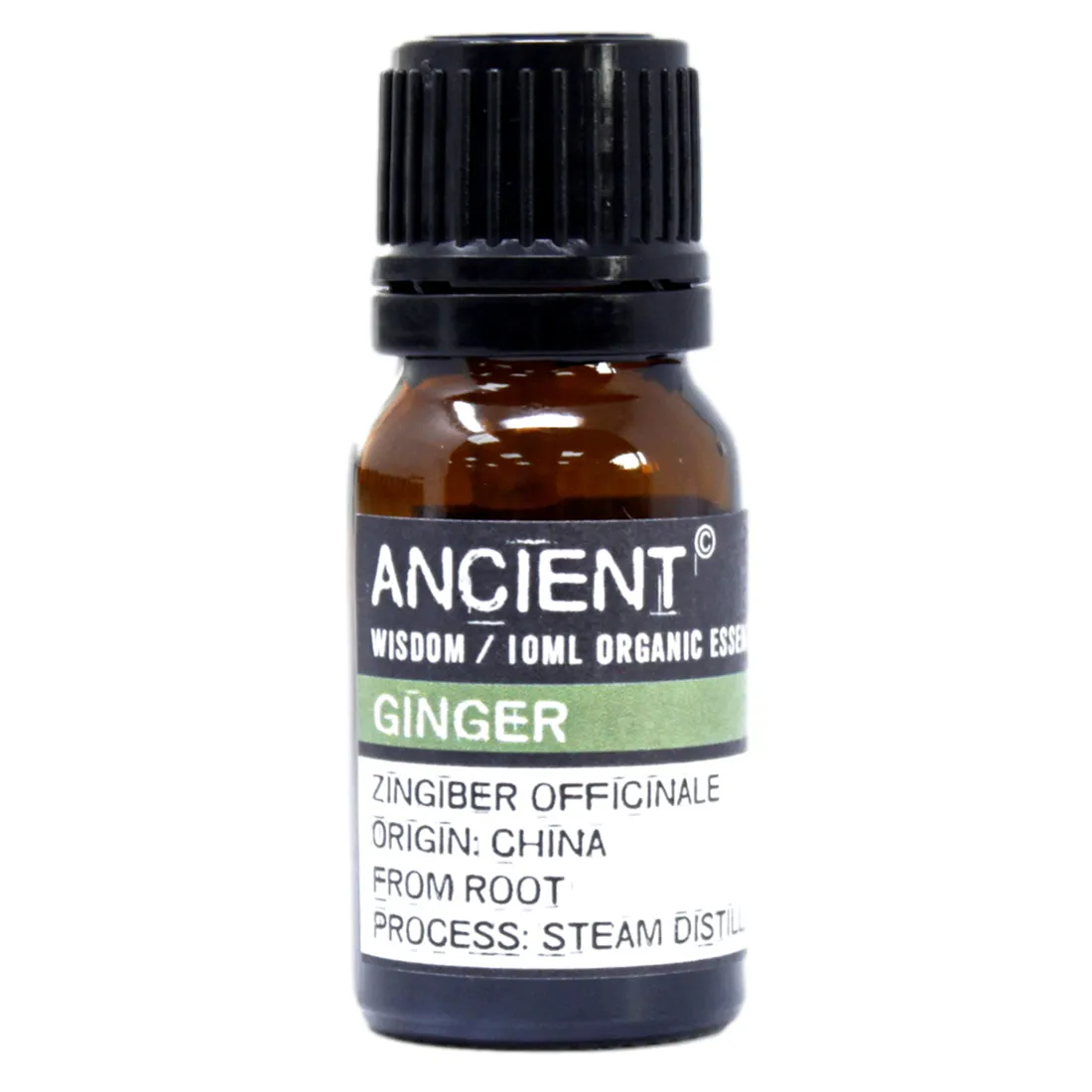 Ancient - Ingefær Økologisk Æterisk Olie 10 ml
