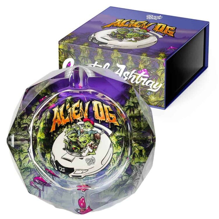 Asht trayen har en transparent, krystallignende struktur med en glat overflade, der reflekterer lys. Den har en unik form, der minder om et alien-hoved med markerede øjne og en bred bund. Farverne spænder fra klar til let grønlig, og kanterne er let afrundede. Der er fire små indhak til cigaretter eller piber.