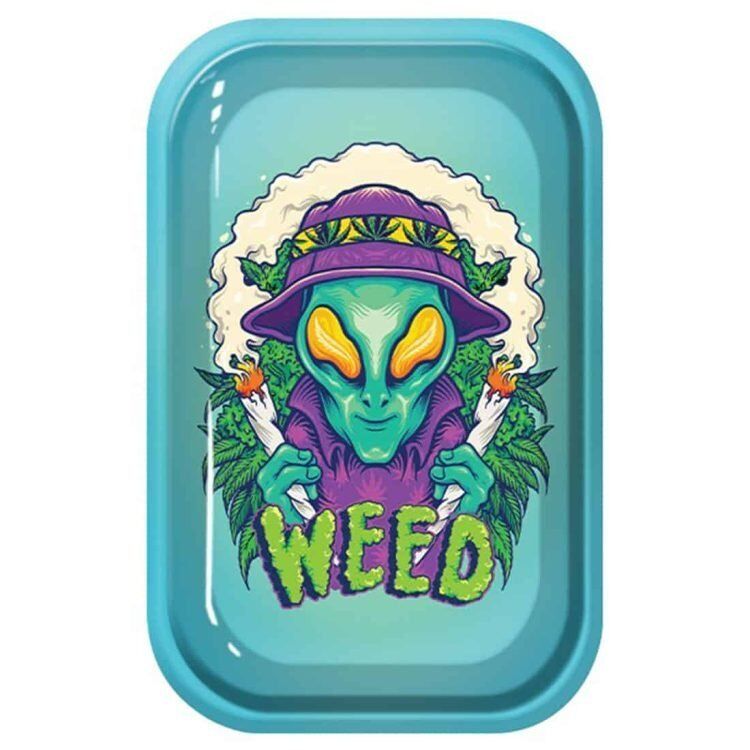 En flad, rektangulær overflade prydet med et farverigt, mønstrede design. Mønsteret inkluderer grønne og lilla nuancer, der danner en abstrakt, organisk form. Elementer, der ligner små væsner og planter, tilføjer visuel dybde. Overfladen har en glat tekstur, og kanter er let afrundede, hvilket giver en behagelig følelse ved berøring.