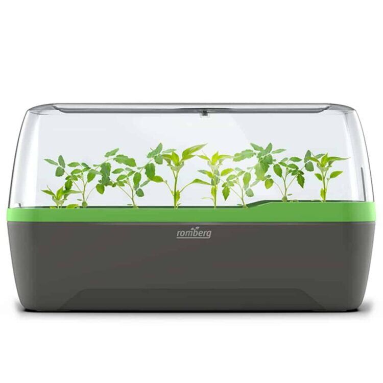 Drivhuset er konstrueret af anodiseret aluminium i en lys grøn nuance, hvilket giver en moderne og rustik fornemmelse. Væggene er dækket af klare, hærdede glasruder, der sikrer optimal lysindtrængning. Taget har en skrå form, der afsluttes med en lige kant, og der er synlige samlinger og beslag, der understøtter strukturen. Indgangen prydes af en bred, dobbeltdør.