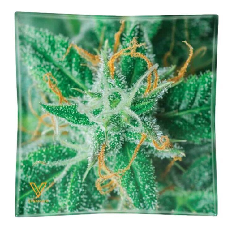 Et askebæger i klart glas med en rund, flad bund og en væg, der skråner opad mod kanten. Kanten er let bølget, hvilket skaber et dekorativt udtryk. Der er en dyb skål i midten, som er designet til at samle aske. Glasoverfladen har en glat, skinnende tekstur, der reflekterer lys effektivt.