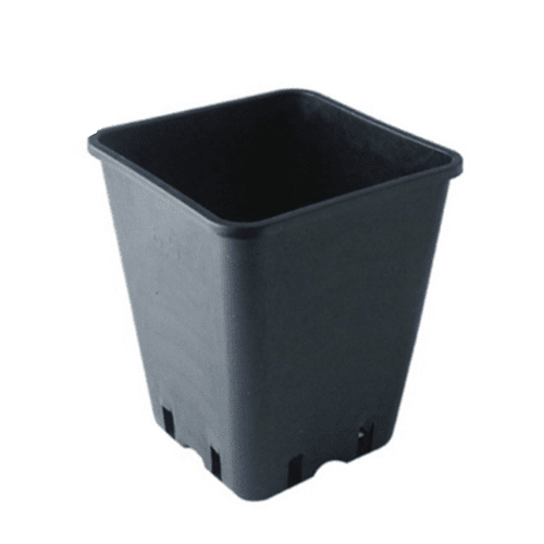 En firkantet potte med en kapacitet på 11 liter præsenterer sig i en mat, sort farve. Den har en glat overflade uden mønstre, hvilket giver et minimalistisk udtryk. Potten er udstyret med en solid kant og firkantet bund, der sikrer stabilitet. Der er ingen synlige drænhuller, og potten fremstår som et robust og funktionelt plantegefærdigede.