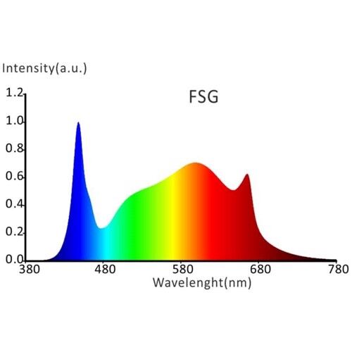 Mørkeblå planter med fint delte, spidse blade pryder overfladen. Bladene er glinsende og har en let bølget kant. Stænglerne er tynde og holder bladene i en opretstående position. Baggrunden er lys og neutral, hvilket fremhæver plantens dybe farver. Der er ingen synlige blomster eller frugter, kun en harmonisk sammensætning af blade.