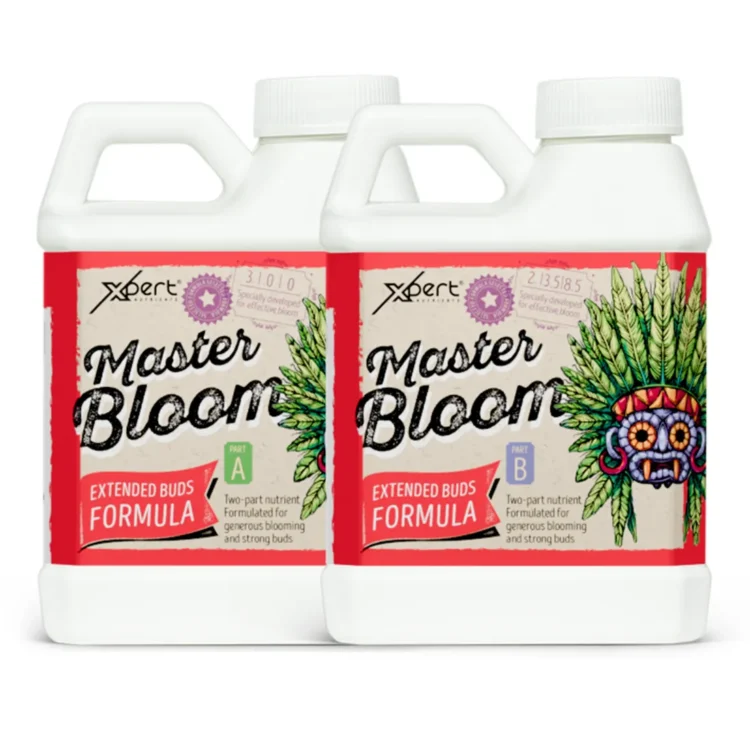 Xpert - Master Bloom A+B 0,25L