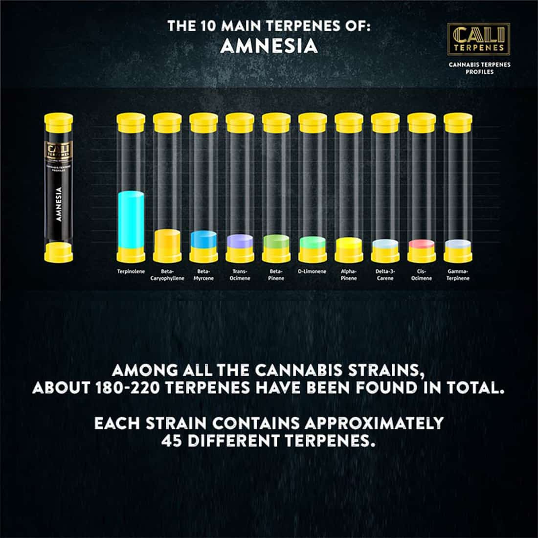 En lille, gennemsigtig flaske med en mørk, skruelåg i metal præsenterer en gyldenbrun væske indeni. Flaskens etiket er hvid med sort tekst, der angiver produktnavn og indhold. Etiketten har en enkel, moderne skrifttype. Flaskeformen er slank og cylindrisk, hvilket giver et elegant udtryk. Væsken reflekterer lyset og skaber en glinsende overflade.