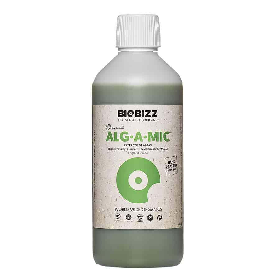 En mørkegrøn flaske med en slank, cylindrisk form pryder en hvid etiket. Et grønt og brunt mønster dekorerer etiketten, der indeholder teksten "Algamic" i sort. Flaskens skruelåg er sort, og bunden er let afrundet. Baggrunden er neutral, hvilket fremhæver flaskens farver og design.