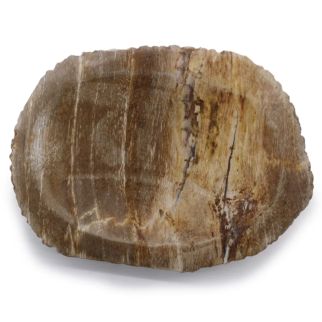 En oval skål i brun træ med en glat, poleret overflade. Skålens kanter er let buede, hvilket giver den et organisk udtryk. Træets naturlige mønster fremhæver åretegninger, der varierer i nuancer fra lys til mørkebrun. Den matte overflade har en blød tekstur, der indbyder til berøring, og skålen er uden synlige samlinger eller dekorationer.