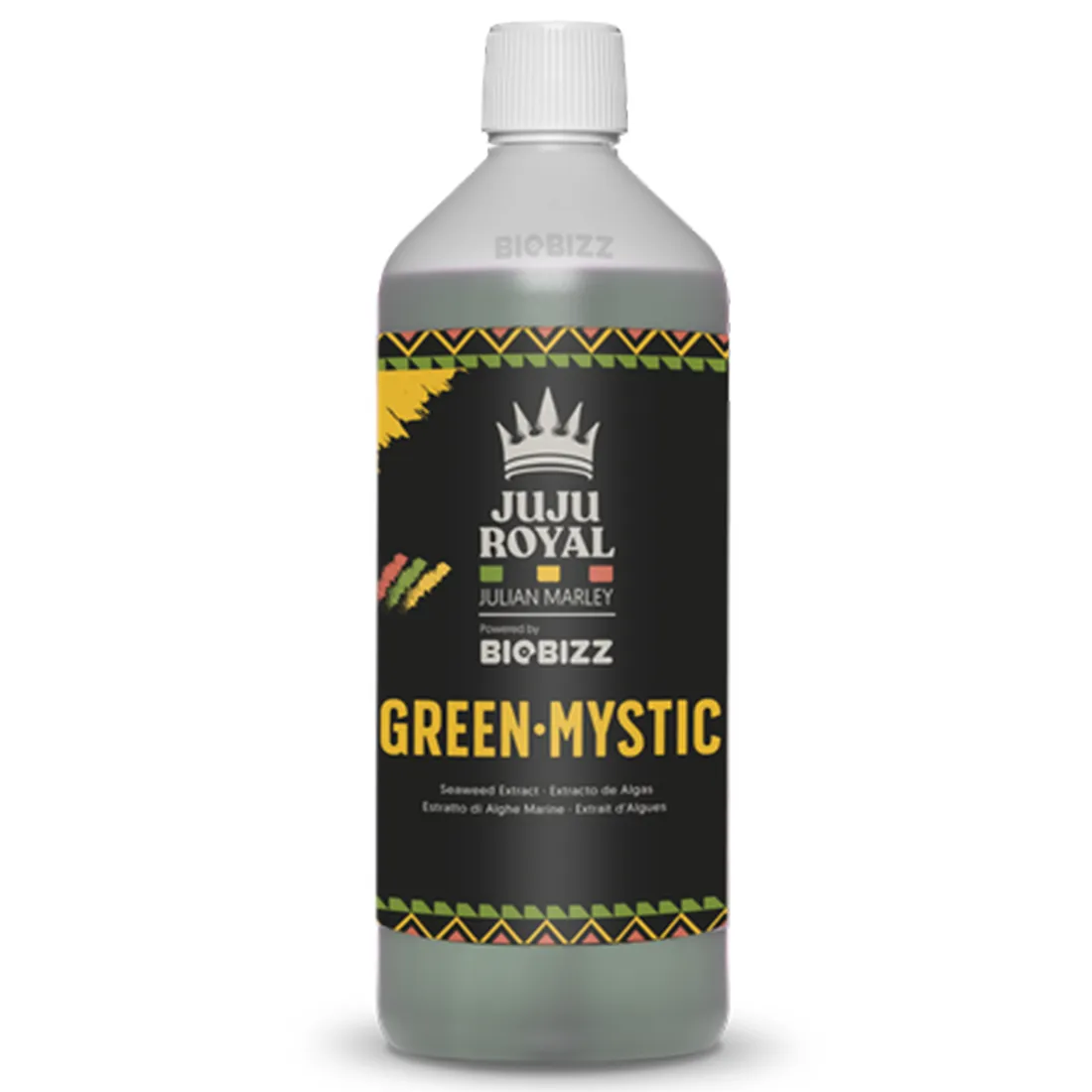 En grøn, mat plante med store, hjerteformede blade pryder den centrale del af kompositionen. Bladene har en dyb, smaragdgrøn farve og en let bølgende kant. Stænglen er tyk og robust, med en brunlig nuance, der står i kontrast til bladene. Jorden omkring planten er mørk og fugtig, hvilket fremhæver plantens frodige udseende.